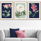Vintage Flowers Honeysuckle Blue and Green | Framed | Artze Wall Art UK