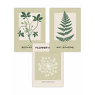 Set of 3 Vintage Graphical Green Botanical Wall Art Prints