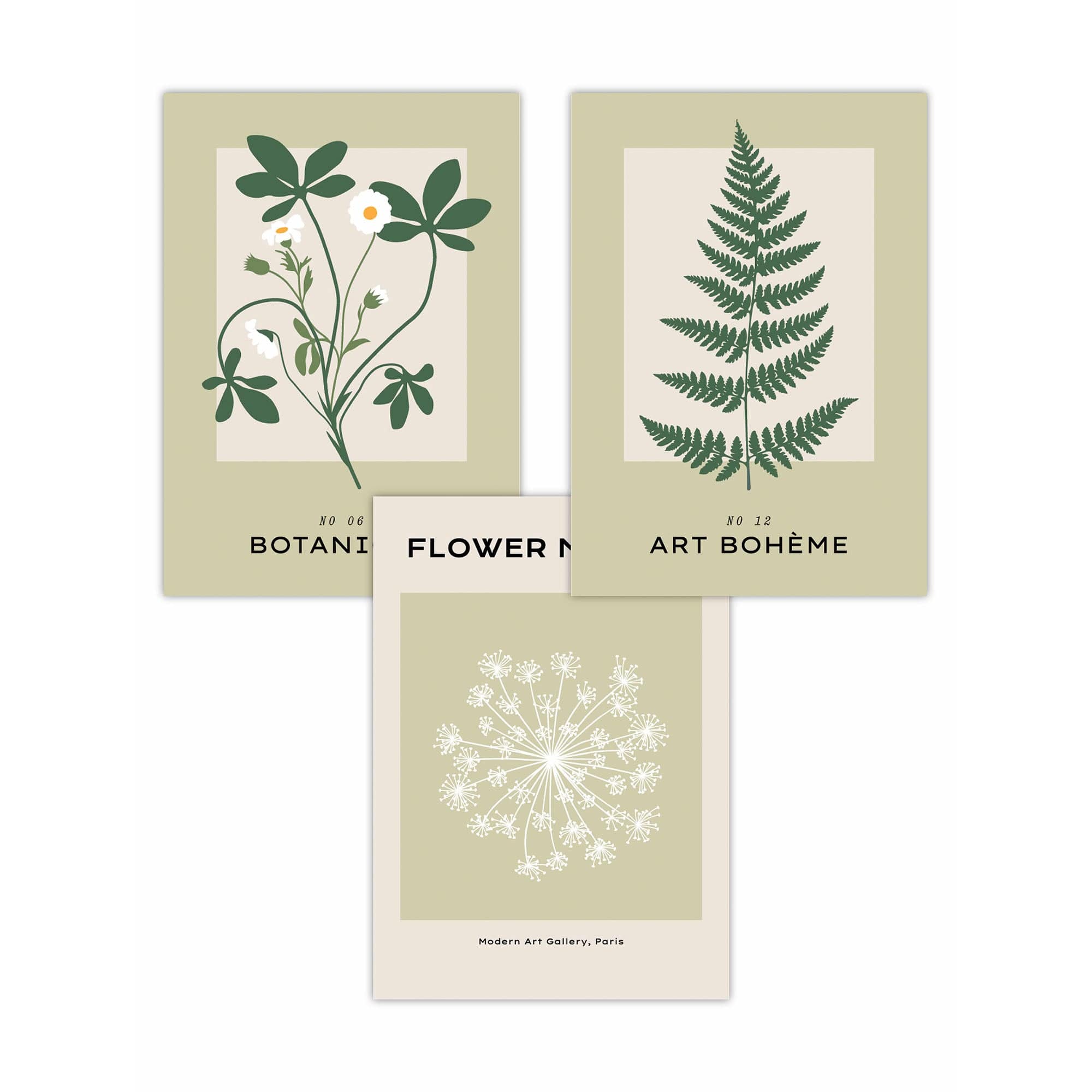 Set of 3 Vintage Graphical Green Botanical Wall Art Prints