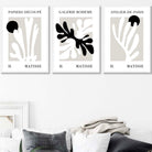 Matisse Floral Cut Out Style Set of 3 Wall Art Prints in Black & Beige