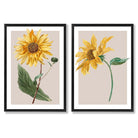 Sage Green Geometric Pineapple Fruit Set of 2 Art Prints with Black Frame