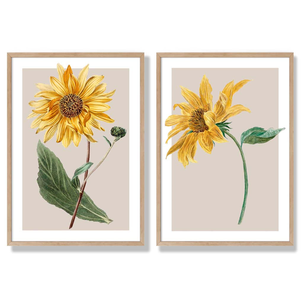 Sage Green Geometric Pineapple Fruit Set of 2 Art Prints with Oak Frame