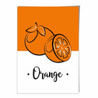 Sketch Fruit Poster of Oranges in Orange