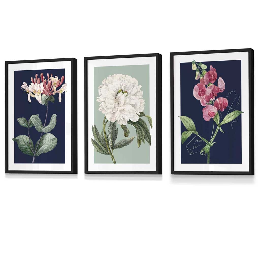 Vintage Flowers Honeysuckle Blue and Green | Framed | Artze Wall Art UK