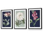 Vintage Flowers Honeysuckle Blue and Green | Framed | Artze Wall Art UK