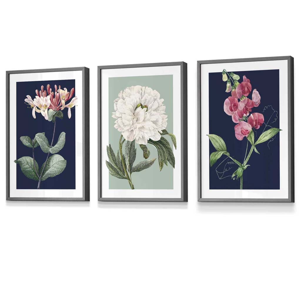 Vintage Flowers Honeysuckle Blue and Green | Framed | Artze Wall Art UK