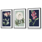 Vintage Flowers Honeysuckle Blue and Green | Framed | Artze Wall Art UK