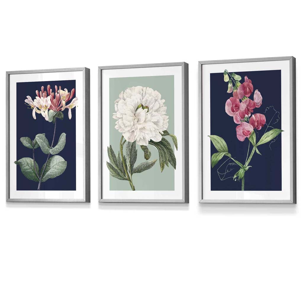 Vintage Flowers Honeysuckle Blue and Green | Framed | Artze Wall Art UK