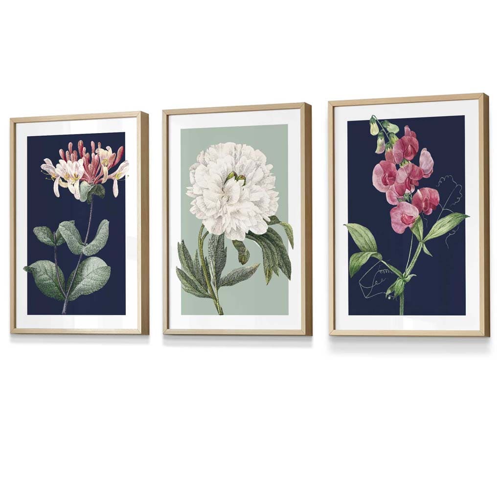 Vintage Flowers Honeysuckle Blue and Green | Framed | Artze Wall Art UK
