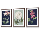 Vintage Flowers Honeysuckle Blue and Green | Framed | Artze Wall Art UK
