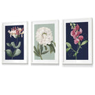 Vintage Flowers Honeysuckle Blue and Green | Framed | Artze Wall Art UK