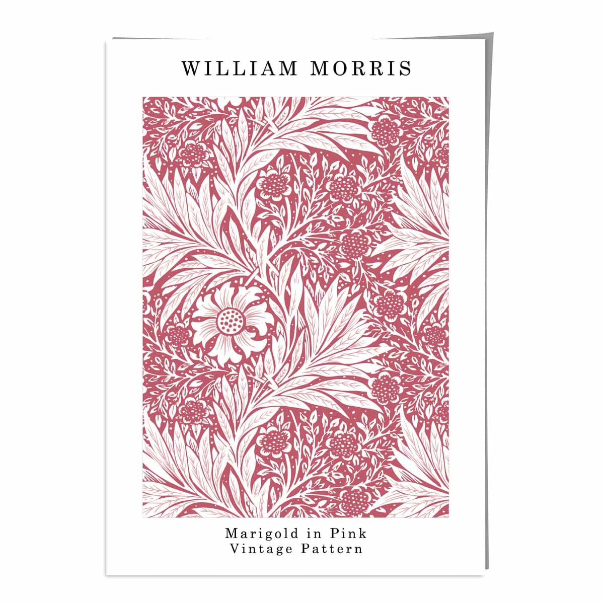 William Morris Raspberry Pink Marigold Art Print