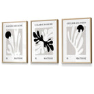 Matisse Floral Cut Out Style Set of 3 Wall Art Prints / Framed in Black & Beige | Artze Wall Art UK