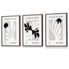 Matisse Floral Cut Out Style Set of 3 Wall Art Prints / Framed in Black & Beige | Artze Wall Art UK