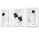 Matisse Floral Cut Out Style Set of 3 Wall Art Prints / Framed in Black & Beige | Artze Wall Art UK