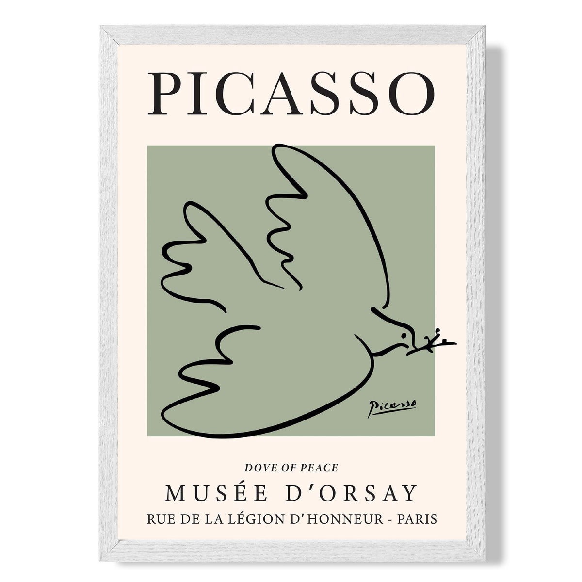 Picasso Dove on Sage Green print in White Wooden Frame