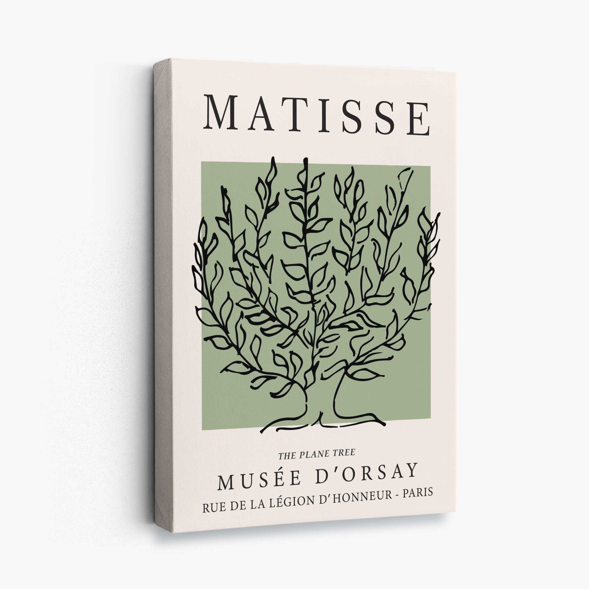 Matisse Plane Tree on Sage Green Canvas Art Print