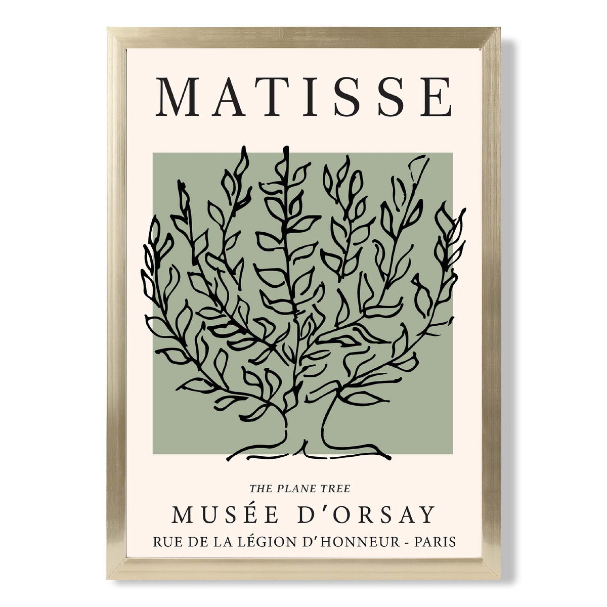 Matisse Plane Tree on Sage Green print in Gold Wooden Frame