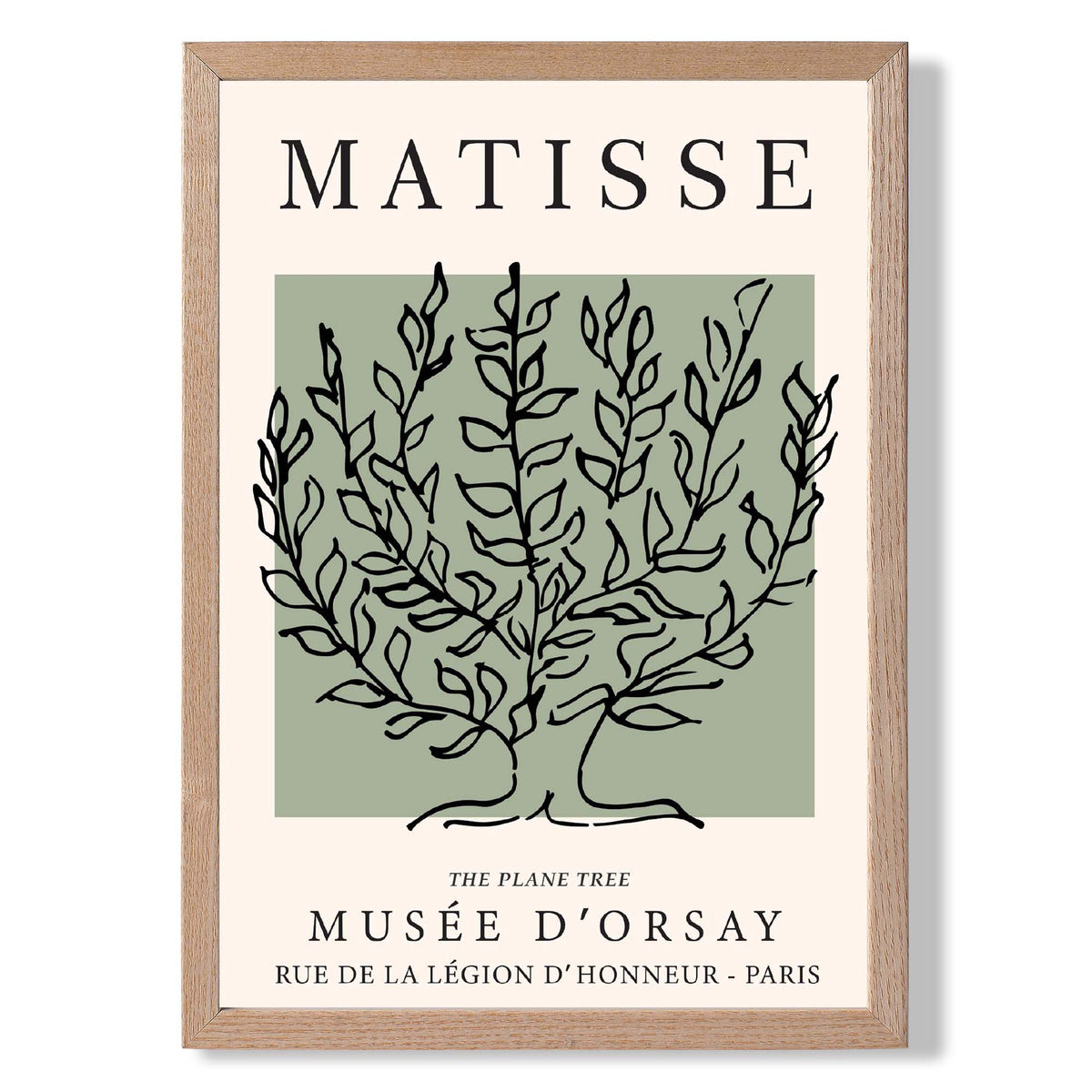 Matisse Plane Tree on Sage Green print in Light Oak Wooden Frame
