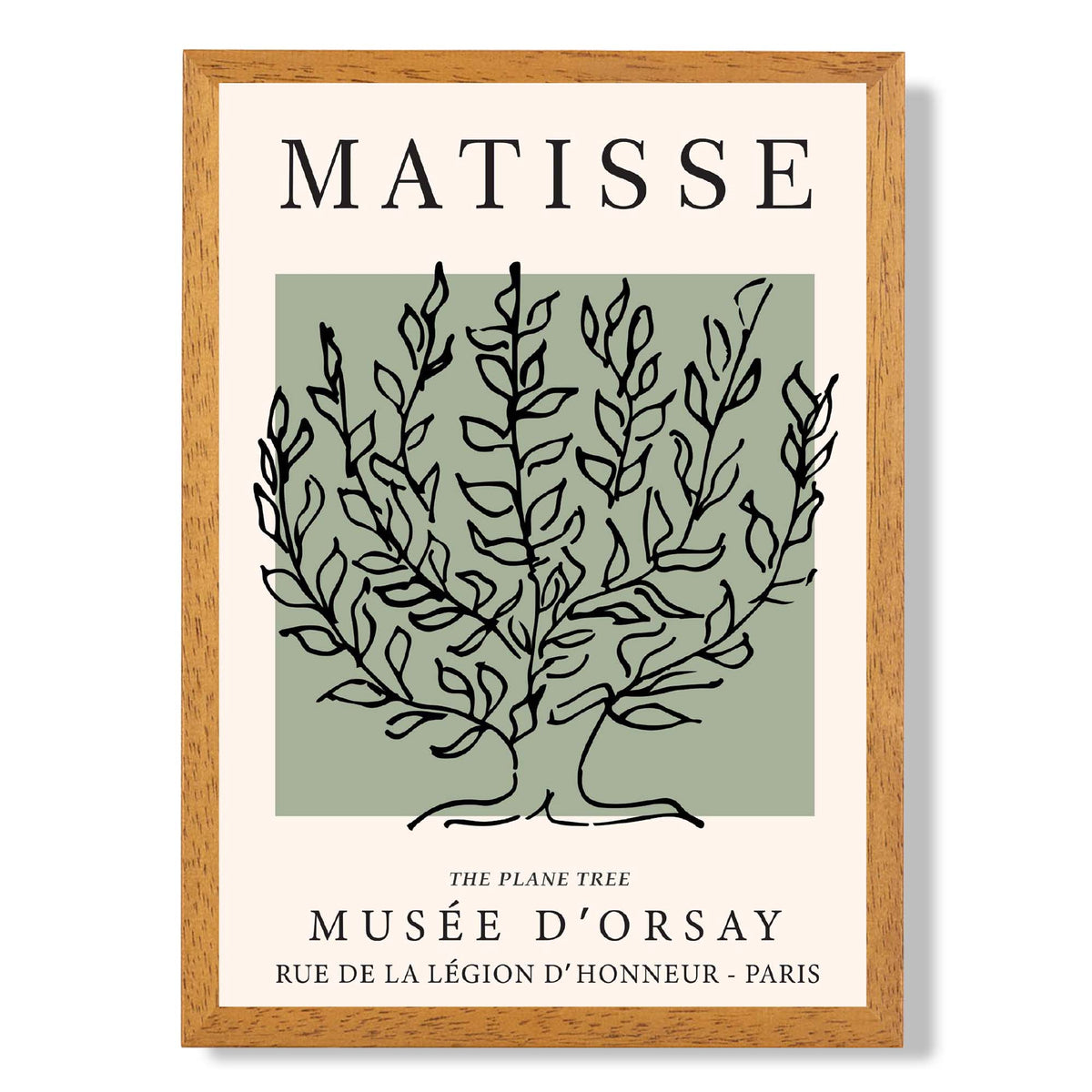 Matisse Plane Tree on Sage Green print in Oak Wooden Frame