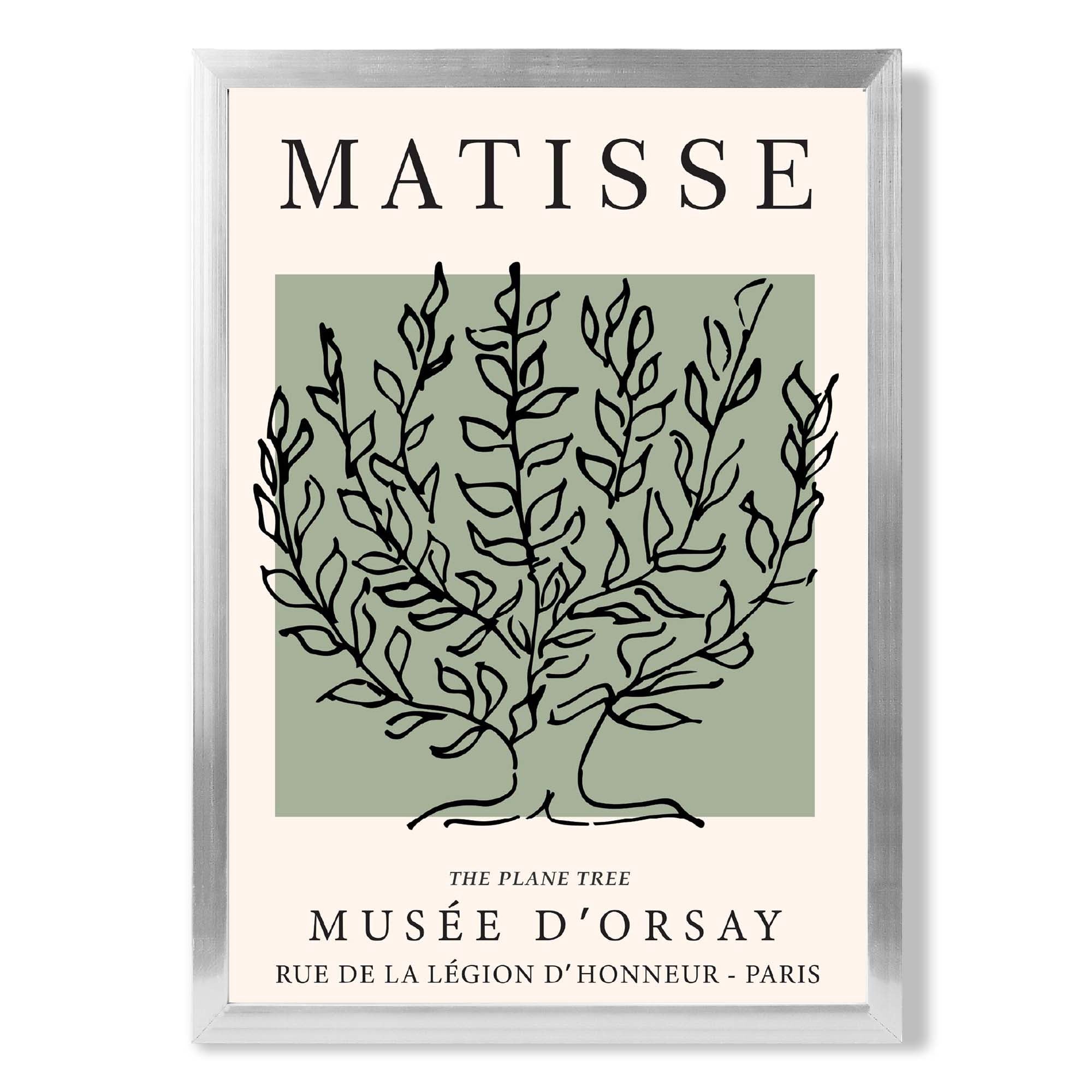 Matisse Plane Tree on Sage Green print in Silver Wooden Frame