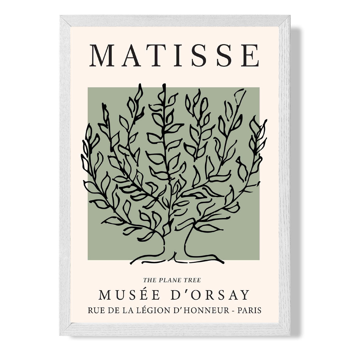 Matisse Plane Tree on Sage Green print in White Wooden Frame
