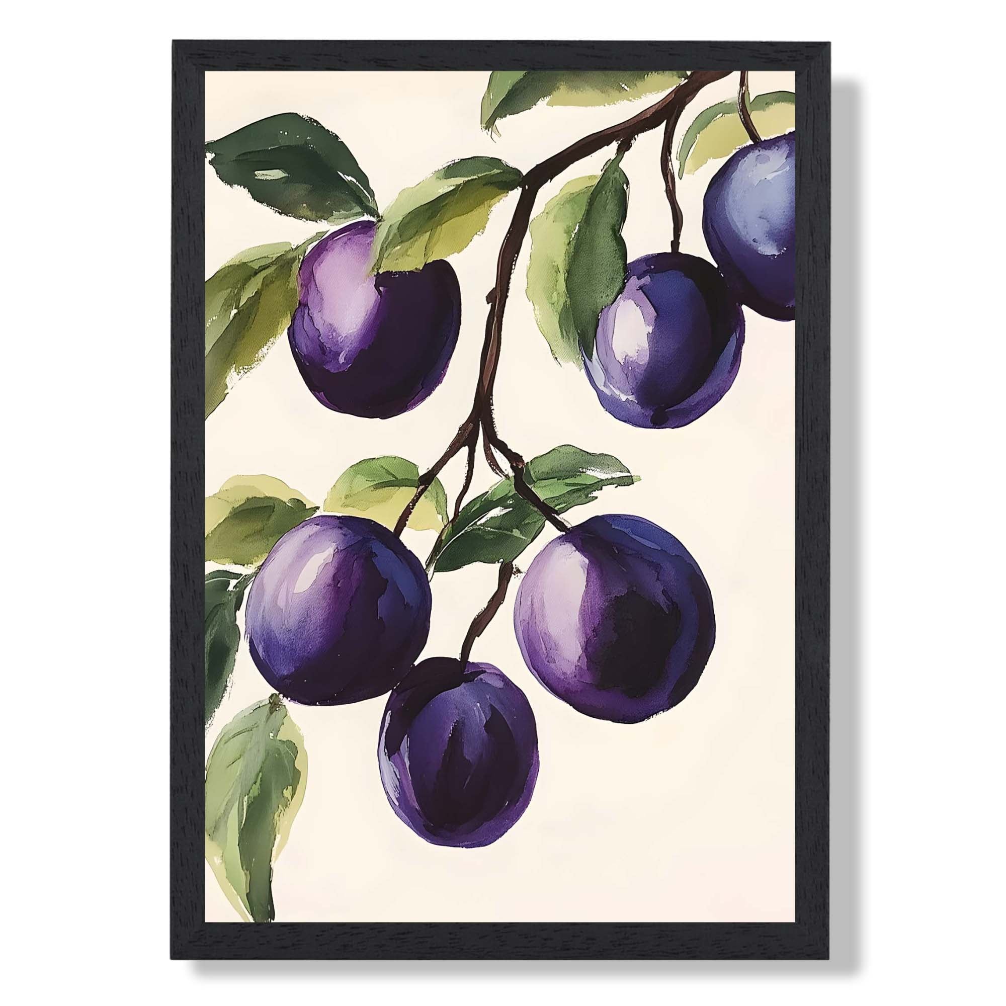 Plums Illustration No 1 Kitchen Art Print print in Black Wooden Frame