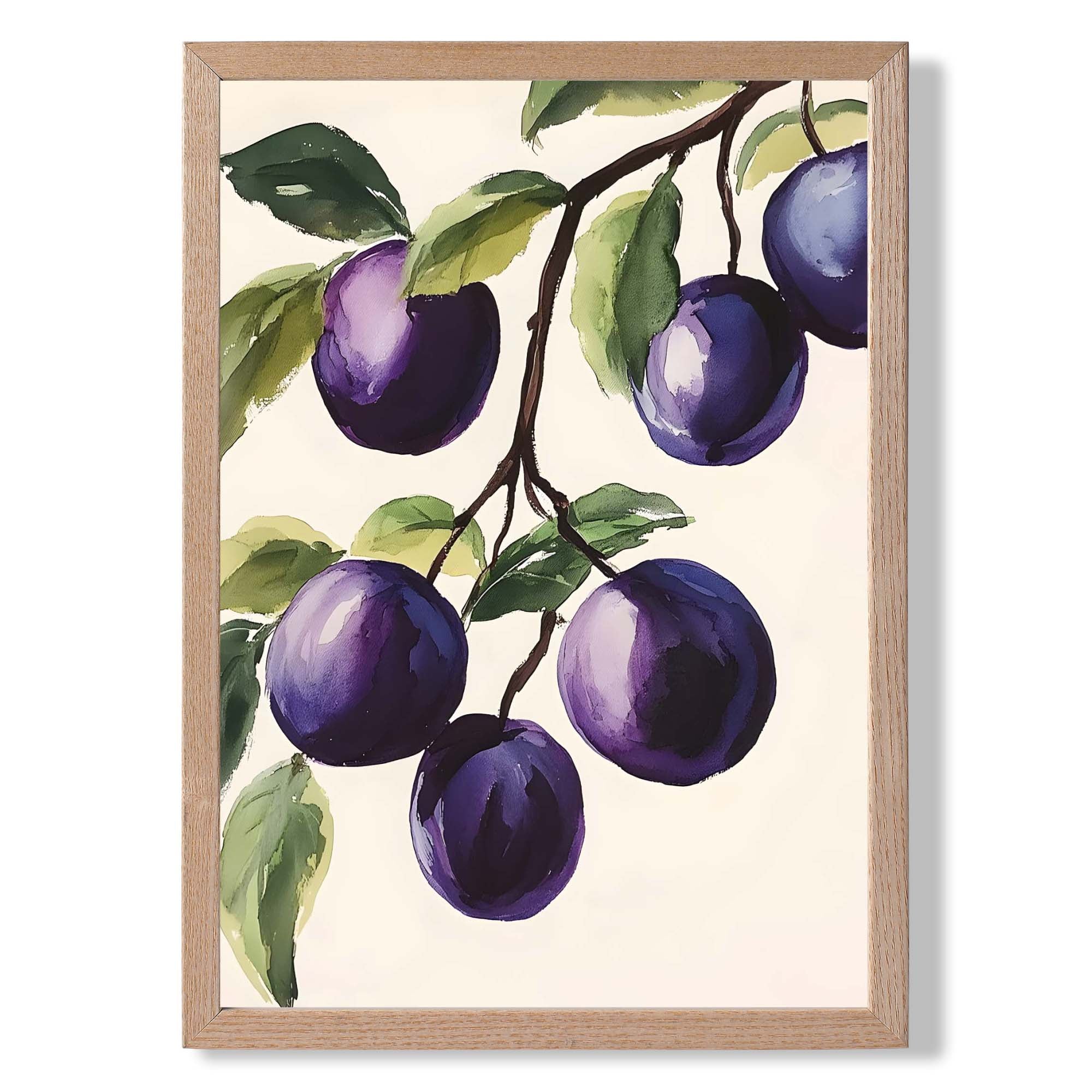 Plums Illustration No 1 Kitchen Art Print Wall Art Print
