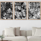 Set of 3 Abstract Wild Garden Flowers in Black and Grey Wall Art Prints
