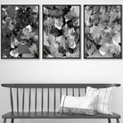 Set of 3 Abstract Wild Garden Flowers in Black and Grey Wall Art Prints