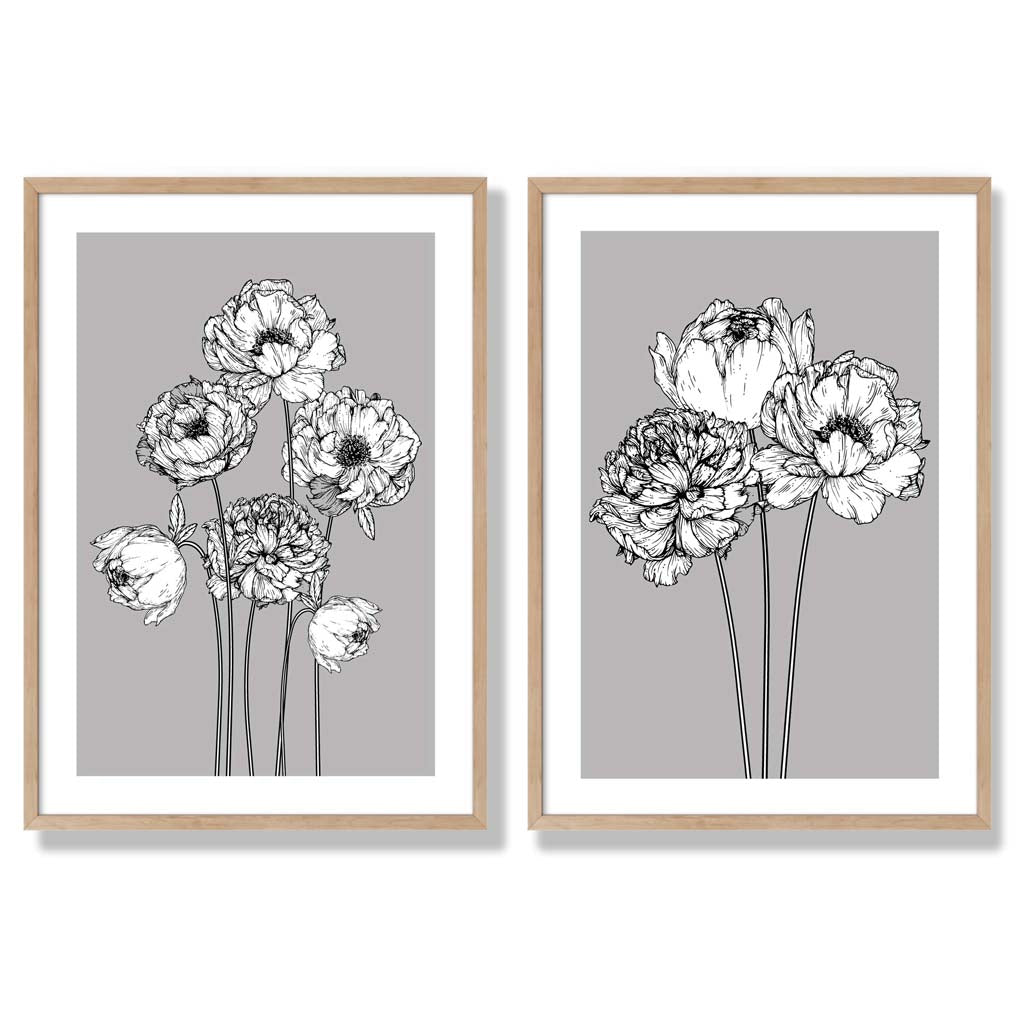 Grey Sketch Peonies Set of 2 Art Prints with Oak Frame