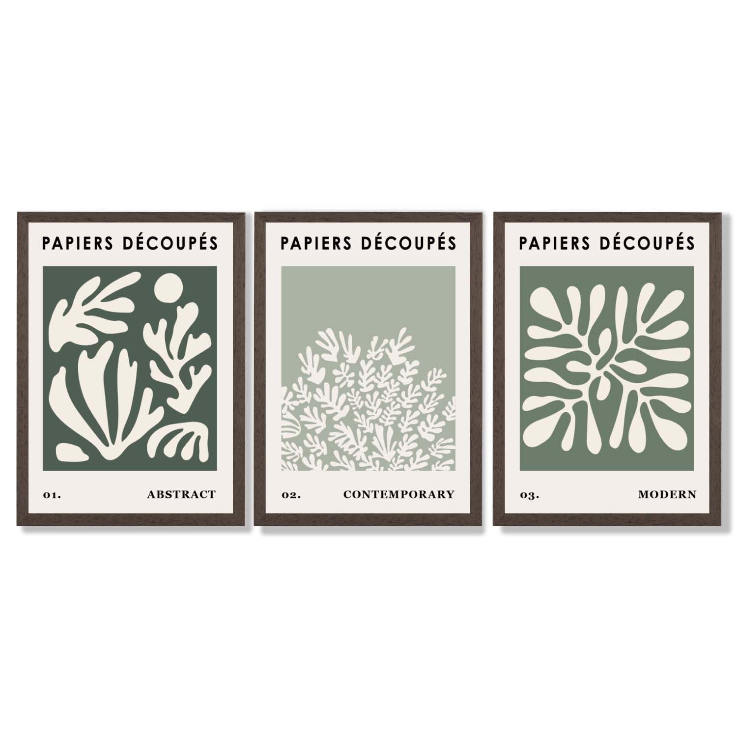 Matisse Floral Set of 3 in Green and Sage Framed Art Prints with Dark Wood Frames