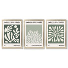 Matisse Floral Set of 3 in Green and Sage Framed Art Prints with Gold Wood Frames
