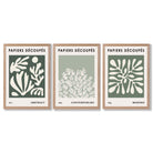Matisse Floral Set of 3 in Green and Sage Framed Art Prints with Light Oak Frames