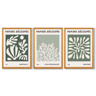 Matisse Floral Set of 3 in Green and Sage Framed Art Prints with Oak Wooden Frames