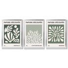 Matisse Floral Set of 3 in Green and Sage Framed Art Prints with Silver Wood Frames