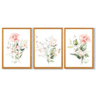 Set of 3 Pink Spring Rose Posies Framed Art Prints with Oak Wooden Frames