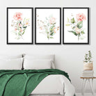 Set of 3 Pink Spring Rose Posies Art Prints in Luxury Frames | Artze UK