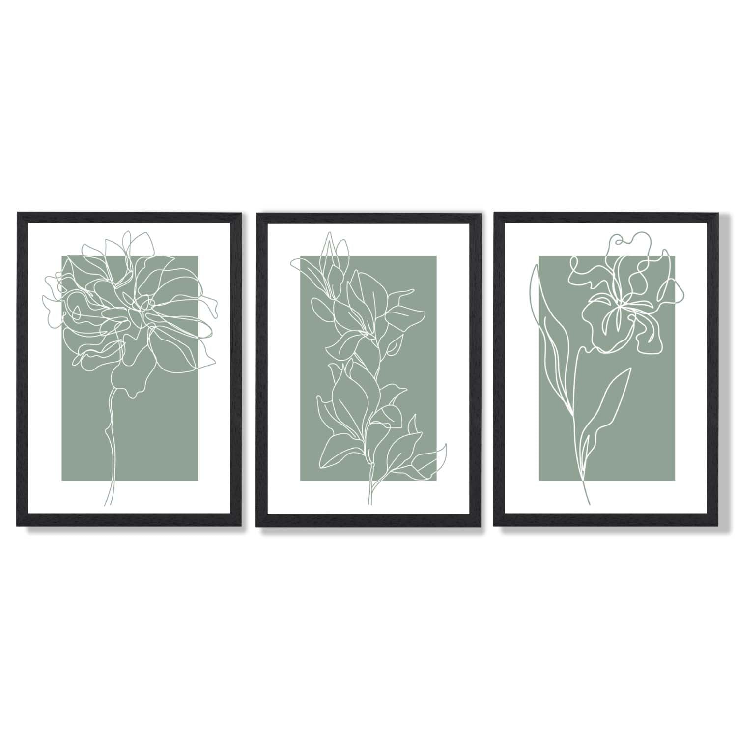 Line Art Sketch Flowers on Sage Green Set of 3 Framed Art Prints with Black Wooden Frames