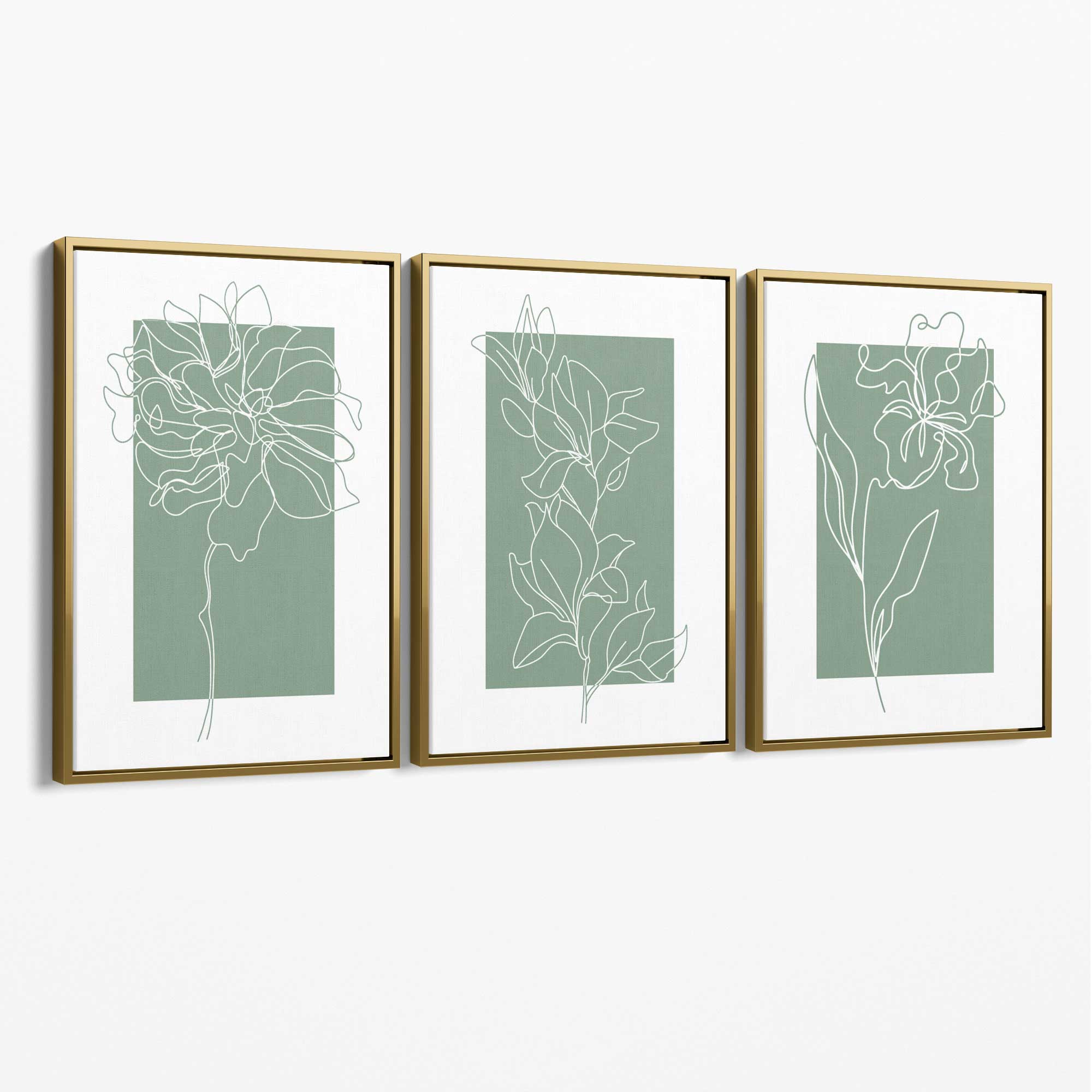 Line Art Sketch Flowers on Sage Green Set of 3 Canvas Art Prints with Gold Float Frame