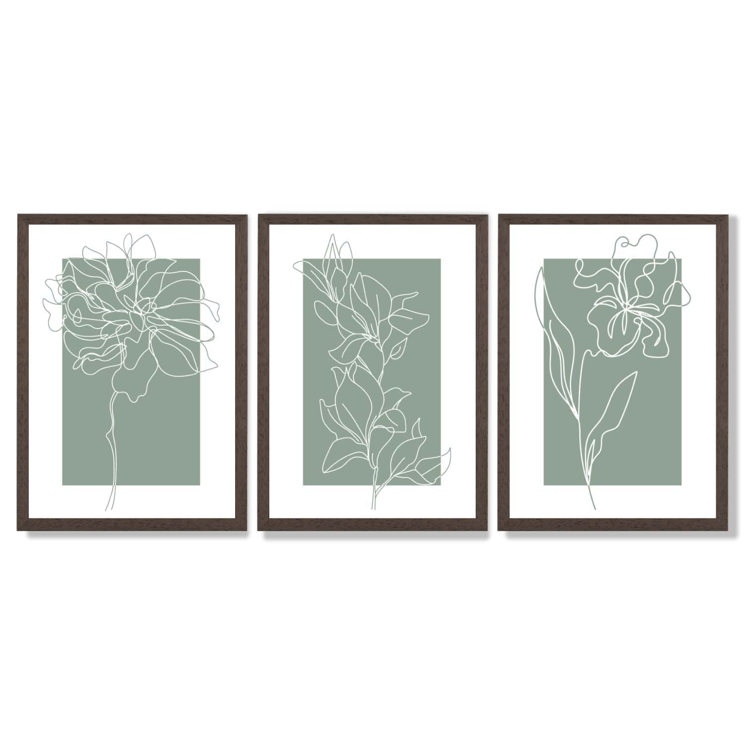 Line Art Sketch Flowers on Sage Green Set of 3 Framed Art Prints with Dark Wood Frames