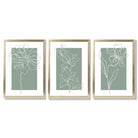 Line Art Sketch Flowers on Sage Green Set of 3 Framed Art Prints with Gold Wood Frames
