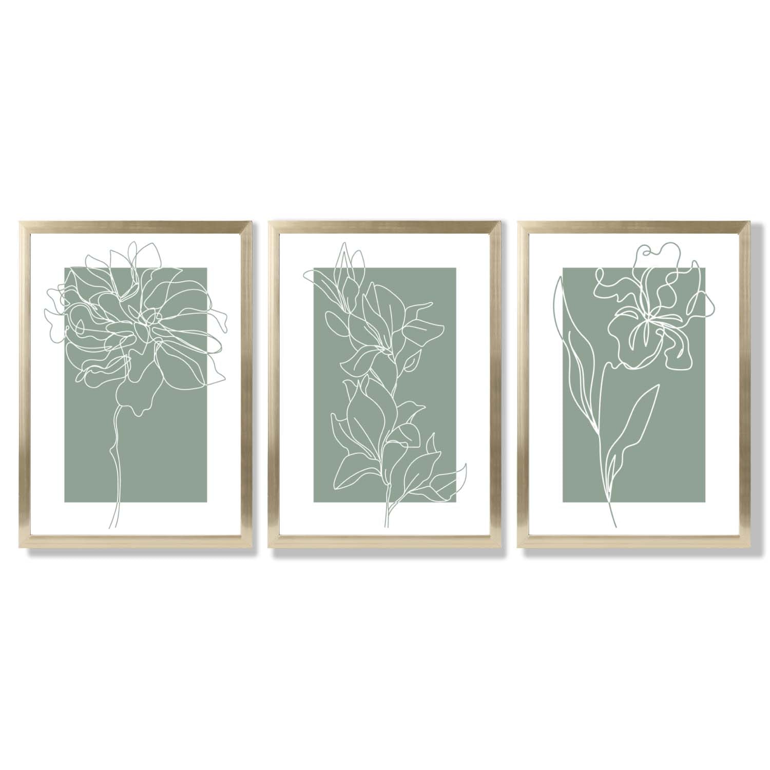 Line Art Sketch Flowers on Sage Green Set of 3 Framed Art Prints with Gold Wood Frames