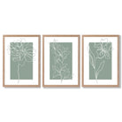 Line Art Sketch Flowers on Sage Green Set of 3 Framed Art Prints with Light Oak Frames