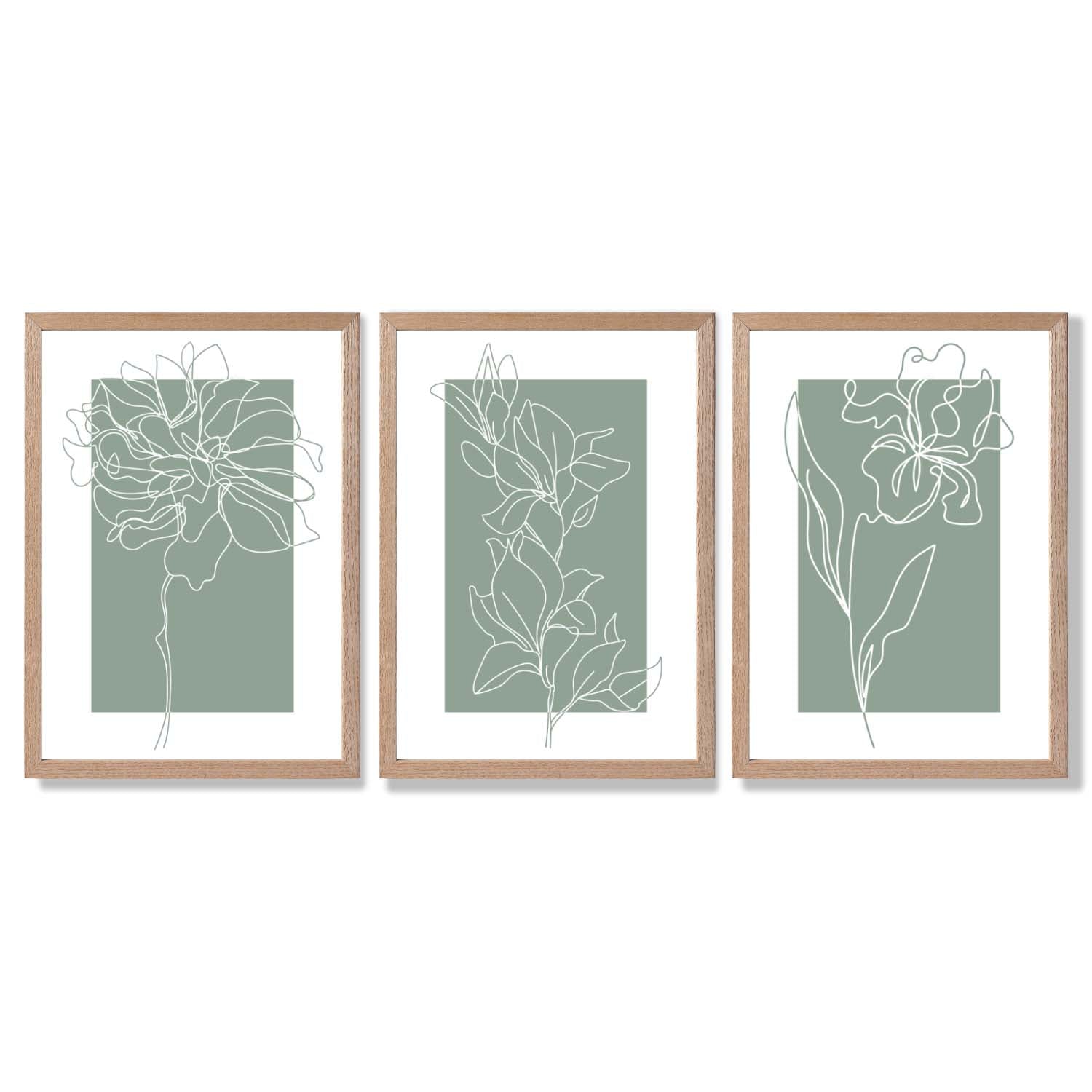 Line Art Sketch Flowers on Sage Green Set of 3 Framed Art Prints with Light Oak Frames
