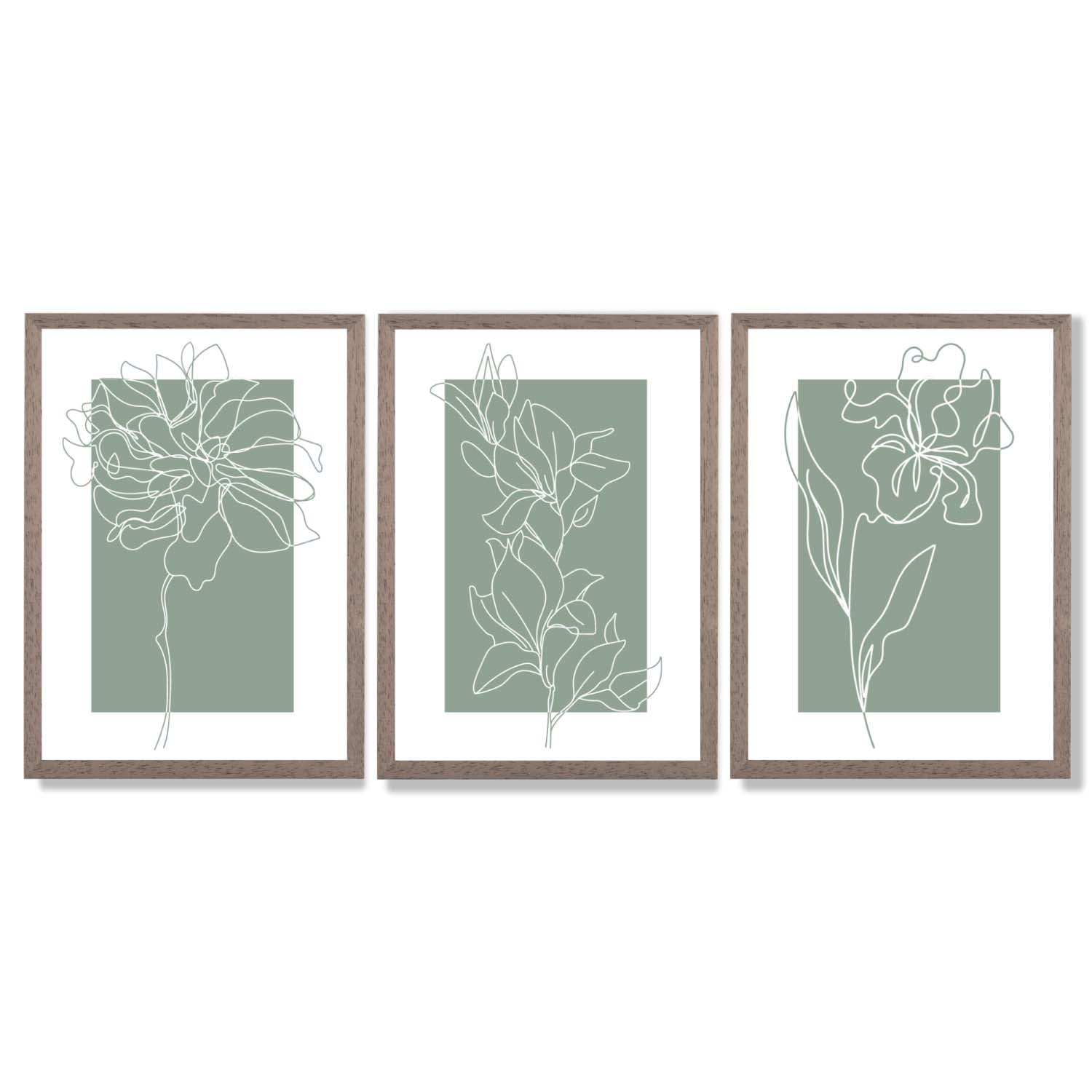 Line Art Sketch Flowers on Sage Green Set of 3 Framed Art Prints with Light Walnut Frames