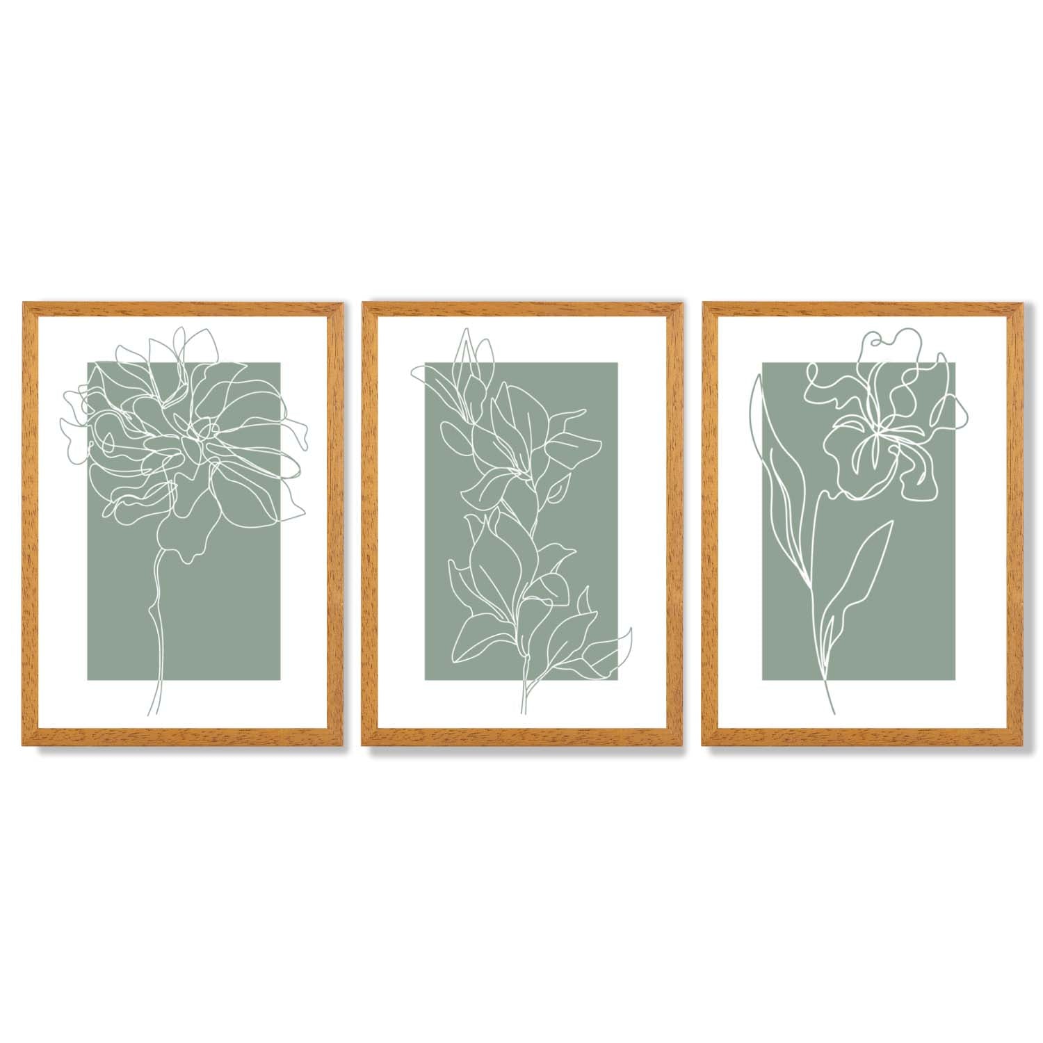 Line Art Sketch Flowers on Sage Green Set of 3 Framed Art Prints with Oak Wooden Frames