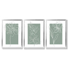 Line Art Sketch Flowers on Sage Green Set of 3 Framed Art Prints with Silver Wood Frames