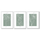 Line Art Sketch Flowers on Sage Green Set of 3 Framed Art Prints with White Wooden Frames