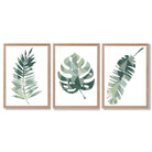 Sage Green Geometric Tropica Leaves Leaves Set of 3 Framed Art Prints with Light Oak Frames